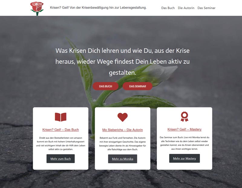 Webseite gestalten krisengeil.de